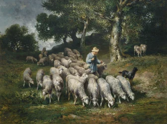 Troupeau de moutons dans un paysage vallonné